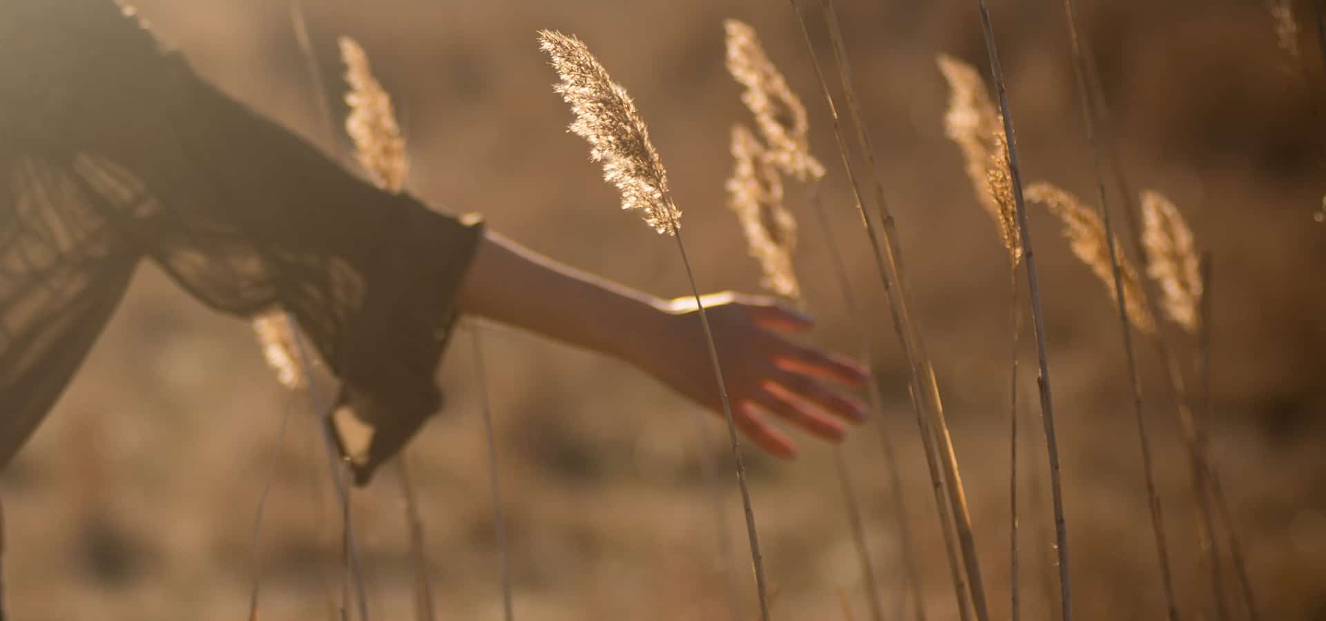 As verstrooien in de natuur én as na crematie